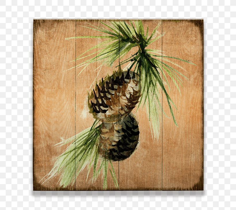 Pine Cone Design Conifer Cone Art, PNG, 730x730px, Pine, Animal, Art, Branch, Butte Download Free
