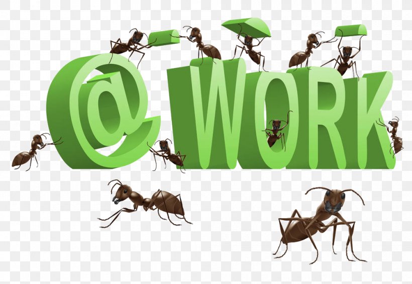 Ants At Work Royalty-free Clip Art, PNG, 1000x690px, Ant, Brand, Fauna, Fotosearch, Grass Download Free