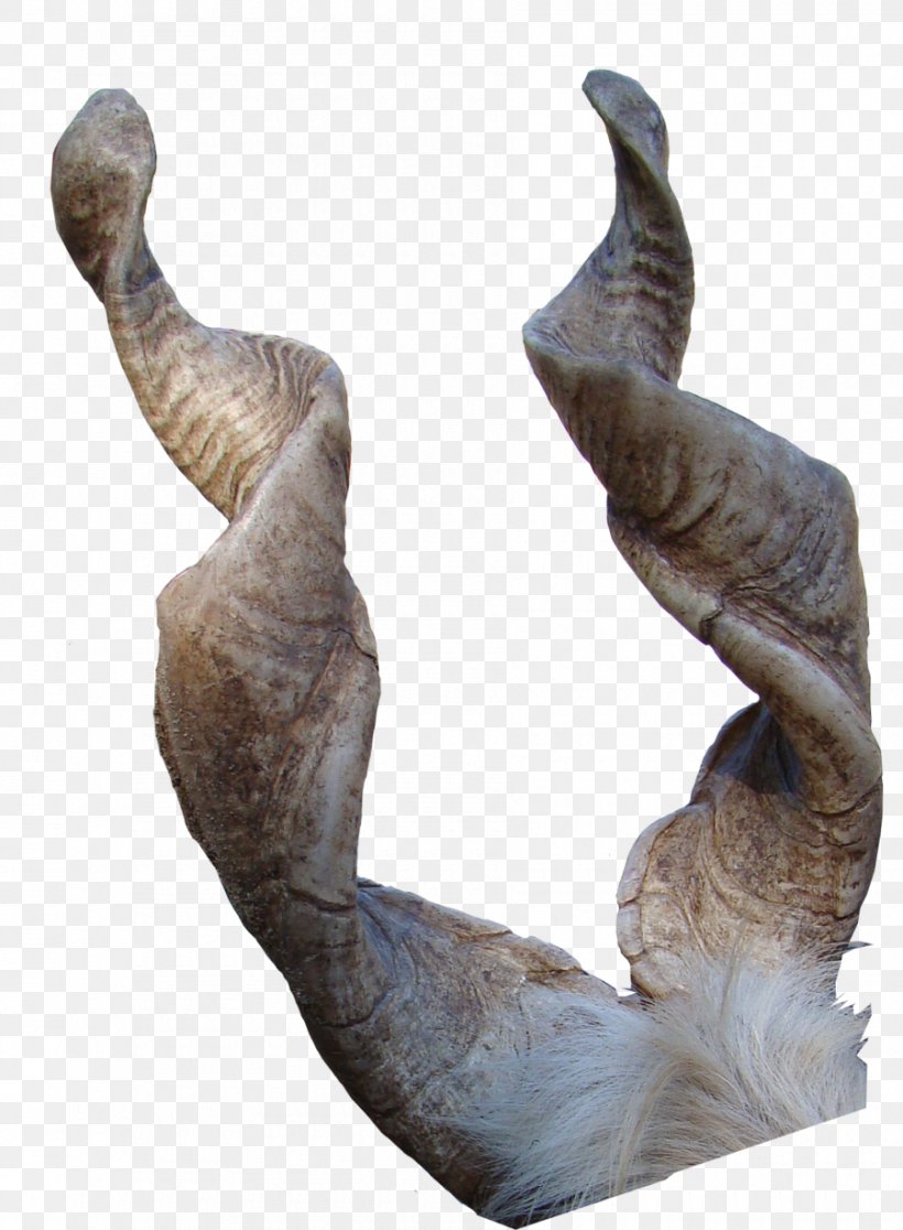 Girgentana Sign Of The Horns Antler, PNG, 900x1225px, Girgentana, Animal, Antler, Deviantart, Drawing Download Free