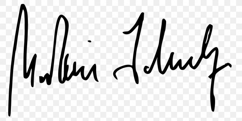 Signature Internet Media Type Handwriting, PNG, 1024x514px, Signature, Area, Art, Black, Black And White Download Free