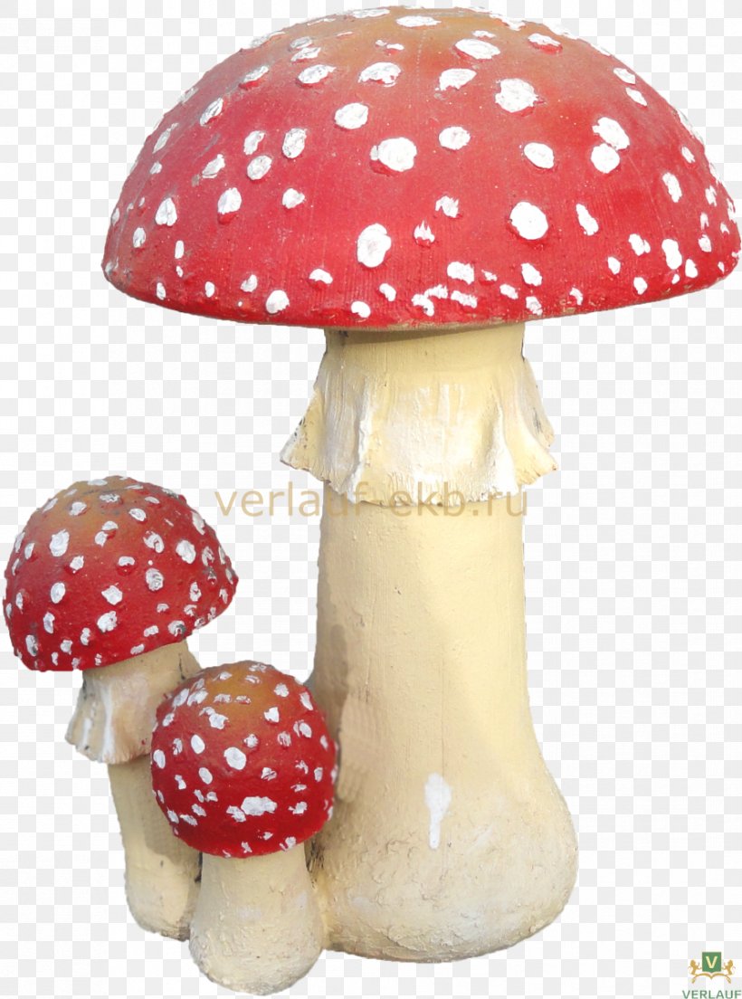 Amanita Fungus Telegram Mushroom, PNG, 891x1200px, Amanita, City, Fungus, Internet, Internet Bot Download Free
