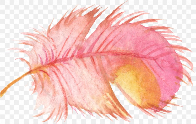 Bird Feather Watercolor Painting Clip Art, PNG, 1663x1055px, Bird, Art, Close Up, Eyelash, Feather Download Free