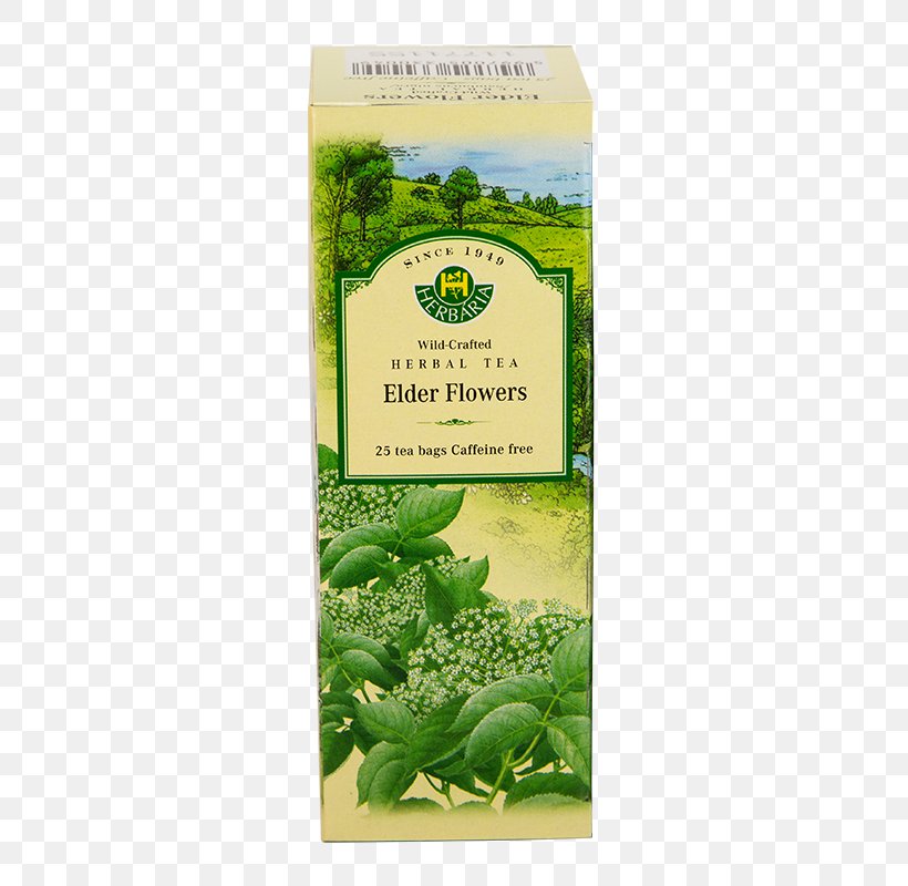 Flowering Tea Herbal Tea Tea Bag, PNG, 482x800px, Tea, Agrimonia Eupatoria, Bag, Common Nettle, Elderberry Download Free