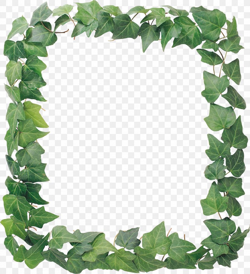 Picture Frames Ivy Vine Cropping, PNG, 2106x2312px, Picture Frames, Bindweed, Cropping, Depositfiles, Film Frame Download Free