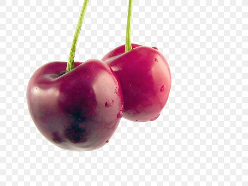 Sour Cherry Fruit Auglis Health, PNG, 1024x768px, Cherry, Amorodo, Anthocyanin, Antioxidant, Apple Download Free