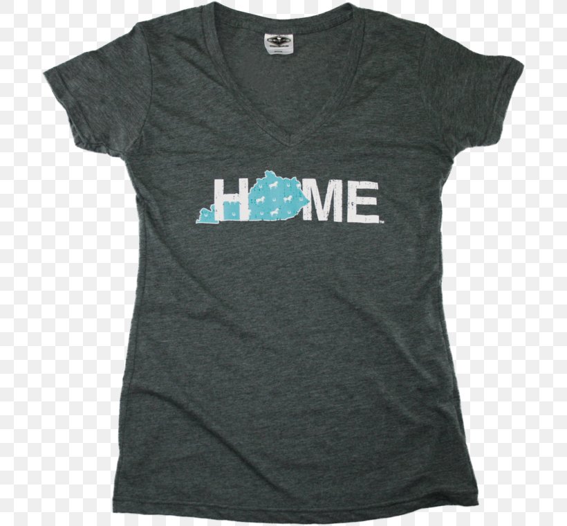 T-shirt Michigan Neckline Sleeve, PNG, 700x760px, Tshirt, Active Shirt, Black, Blue, Green Download Free