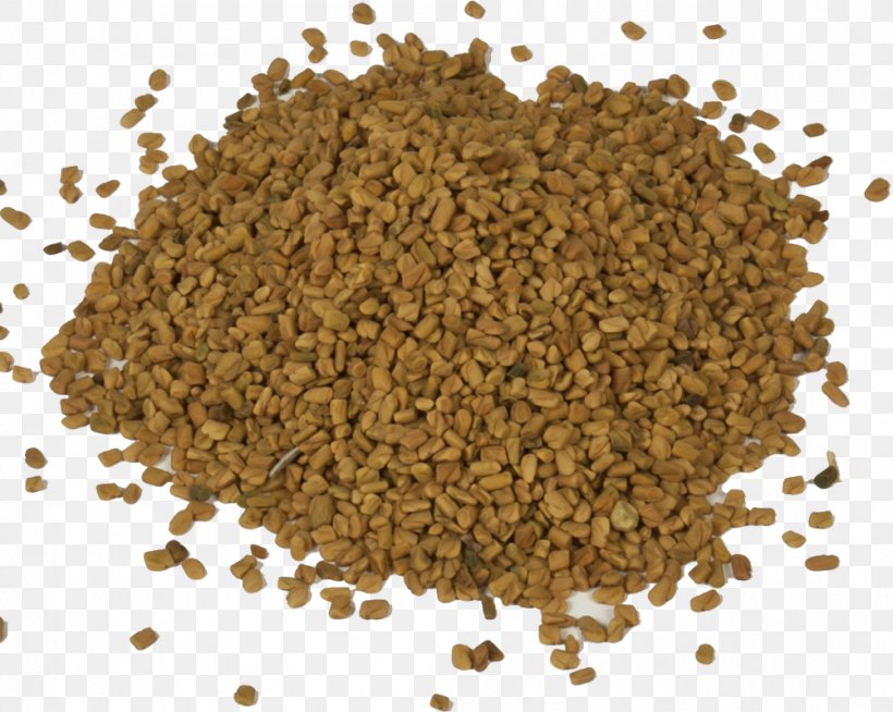 Fenugreek Garam Masala Khmeli Suneli Food Spice, PNG, 1002x800px, Fenugreek, Caraway, Condiment, Decoction, Food Download Free