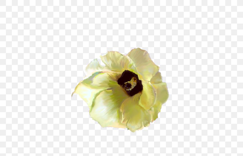 Flat-leaved Vanilla Flower Yellow Blossom Petal, PNG, 500x529px, Flatleaved Vanilla, Blossom, Cut Flowers, Flower, Flowering Plant Download Free