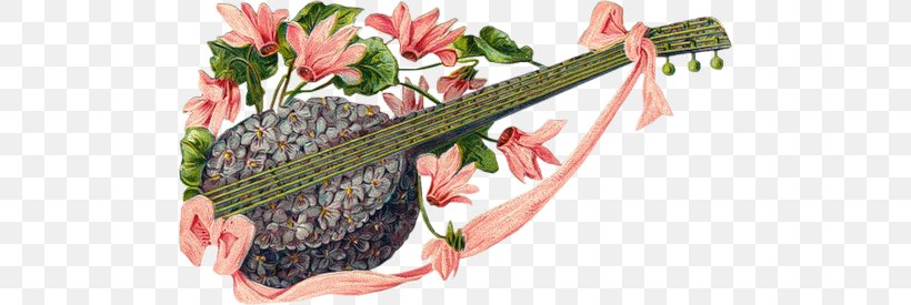 Nova Linea Flower Musical Instruments, PNG, 500x275px, Flower, Animated Film, Blog, Floral Design, Flowering Plant Download Free