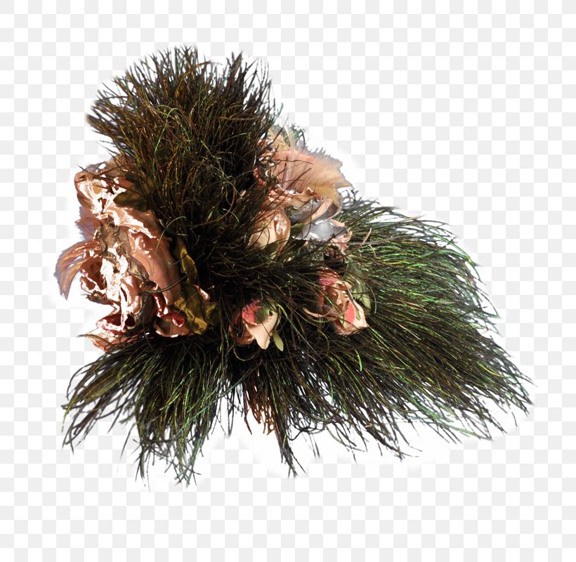 Pine Christmas Ornament Spruce Fir, PNG, 800x800px, Pine, Christmas, Christmas Decoration, Christmas Ornament, Conifer Download Free