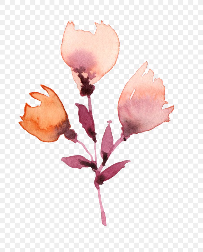 Plant Watercolor Painting Flower Drawing, PNG, 792x1017px, Plant, Blossom, Branch, Color, Cut Flowers Download Free
