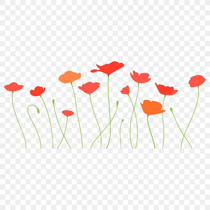 Poppy Flower, PNG, 1200x1200px, Poppy Flower, Coquelicot, Corn Poppy, Flower, Plant Download Free