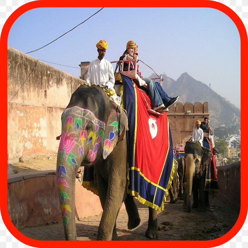 Sonepur Cattle Fair Elephantidae Rajasthan Travel Ganesha, PNG, 1024x1024px, Elephantidae, Camel, Camel Like Mammal, Elephants And Mammoths, Ganesha Download Free