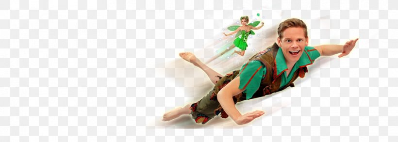 Tiger Lily Peter Pan Costume Entertainment Enchanted, PNG, 958x343px, Tiger Lily, Arm, Child, Costume, Enchanted Download Free