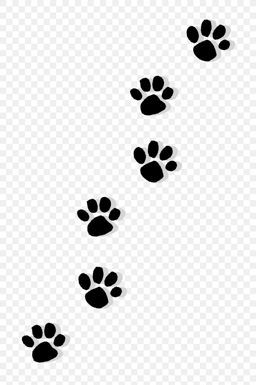 Cat Puppy Dachshund Paw Printing, PNG, 726x1231px, Cat, Black, Black And White, Child, Cuteness Download Free