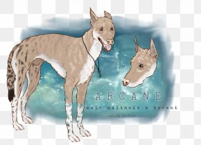 Arcane - Italian Greyhound Whippet Spanish Greyhound Ibizan Hound PNG