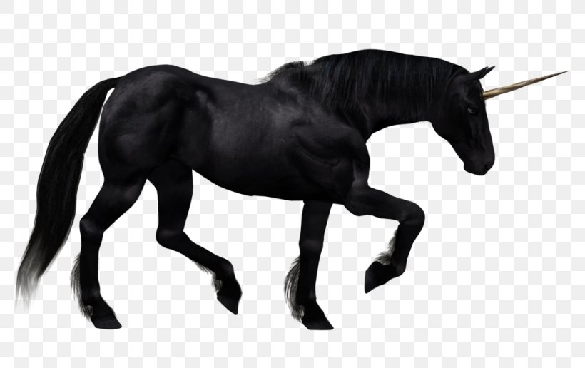 The Black Unicorn Pegasus Horse, PNG, 1024x645px, Friesian Horse, American Paint Horse, Animal, Bit, Black Download Free