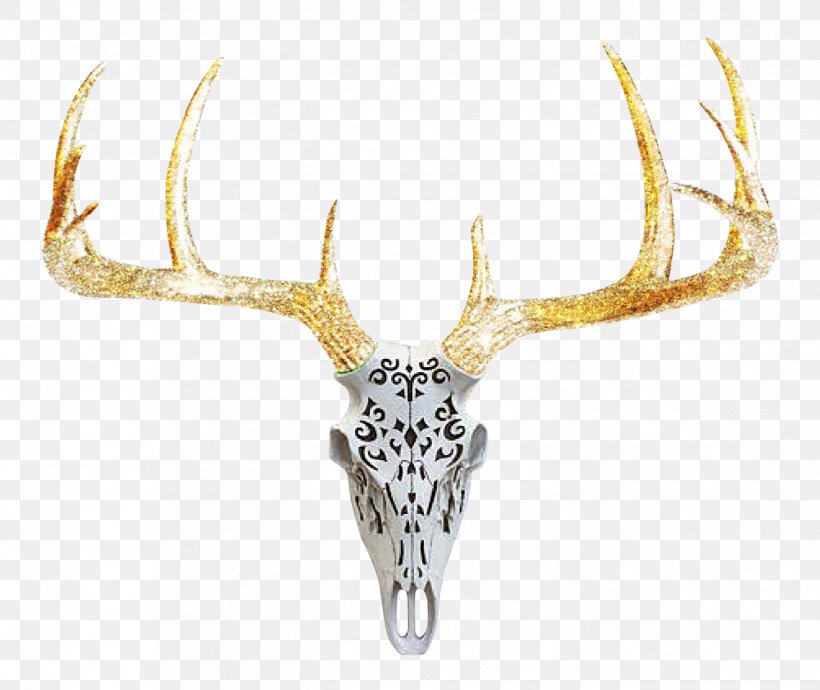 White-tailed Deer Antler Deer Hunting Skull, PNG, 1321x1113px, Deer, Antler, Deer Hunting, Head, Horn Download Free