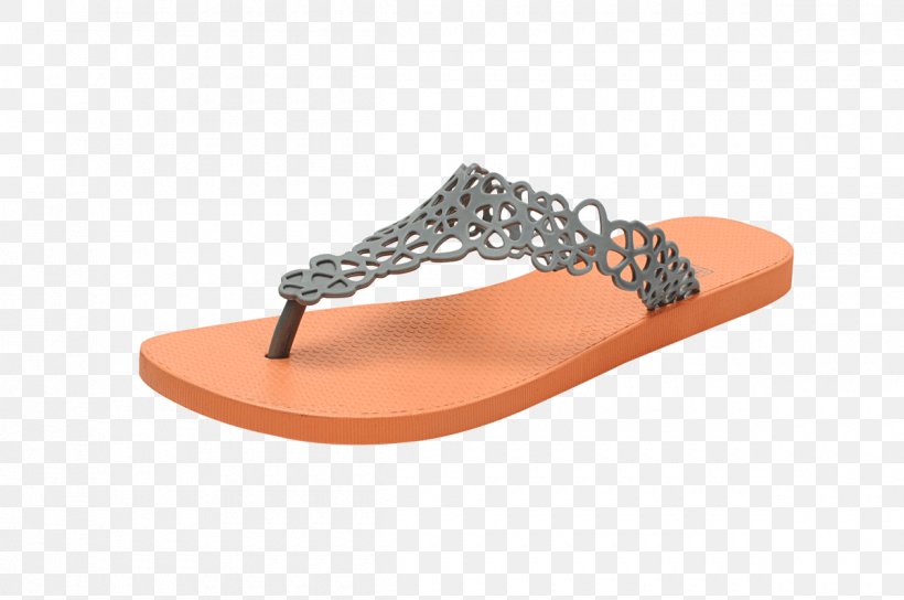 Flip-flops Sandal Shoe Clothing Accessories Among Petals, PNG, 1200x797px, Flipflops, Bag, Batucada, Beige, Clothing Accessories Download Free