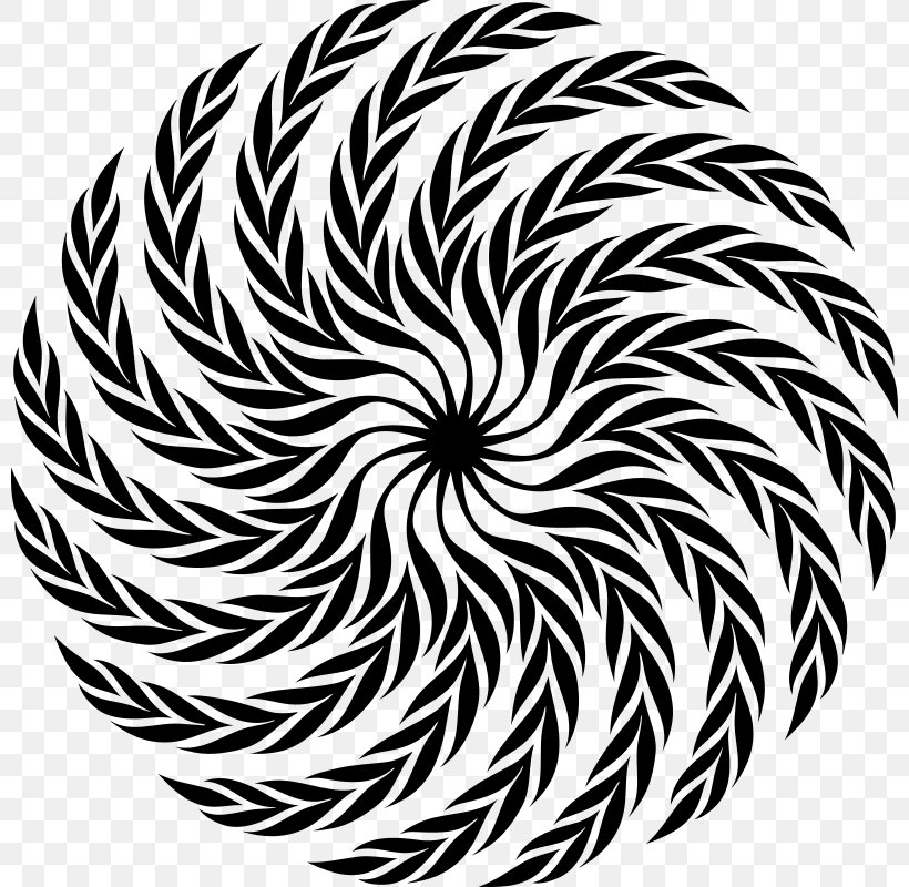 Golden Spiral Logarithmic Spiral Software Design Pattern, PNG, 800x800px, Spiral, Art, Black And White, Design Pattern, Flowering Plant Download Free