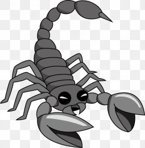 Scorpion Clip Art Insect Membrane, PNG, 1024x1122px, Scorpion, Insect ...