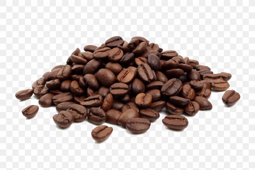 Cafe Coffee Bean Tea Espresso, PNG, 1024x682px, Cafe, Arabica Coffee, Bean, Caffeine, Chocolate Download Free