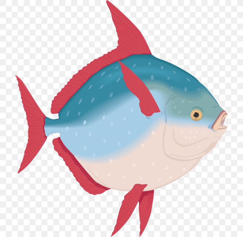 Ocean Sunfish Animal Malayalam, PNG, 717x800px, Fish, Animaatio, Animal, Aquatic Animal, Bony Fish Download Free