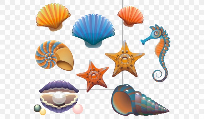 Seashell Mollusc Shell Drawing Illustration, PNG, 1024x601px, Seashell, Cartoon, Drawing, Invertebrate, Mollusc Shell Download Free