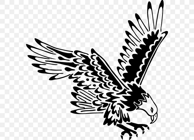 Bald Eagle Tattoo Black-and-white Hawk-eagle Eagle Feather Law, PNG, 600x594px, Bald Eagle, Beak, Bird, Bird Of Prey, Black And White Download Free