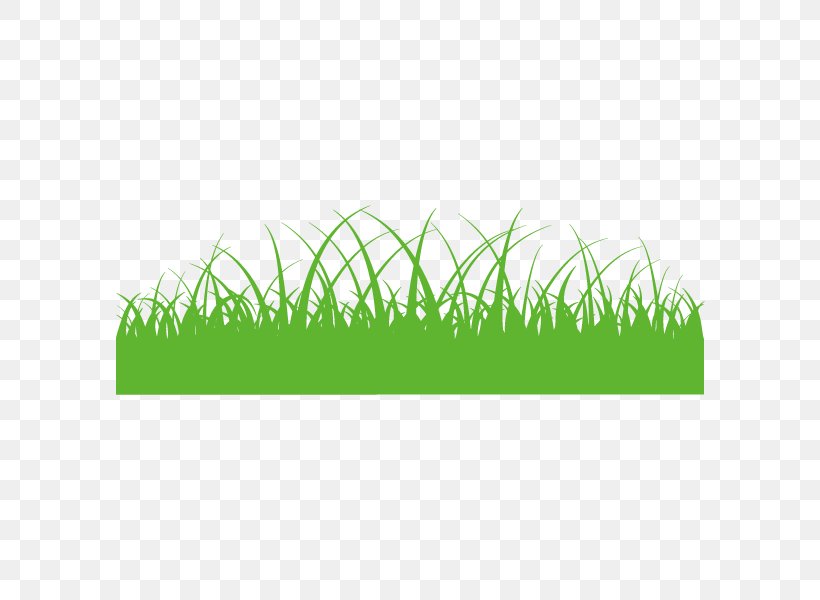 Commodity Product Design Grasses Angle, PNG, 600x600px, Commodity, Area, Grass, Grass Family, Grasses Download Free