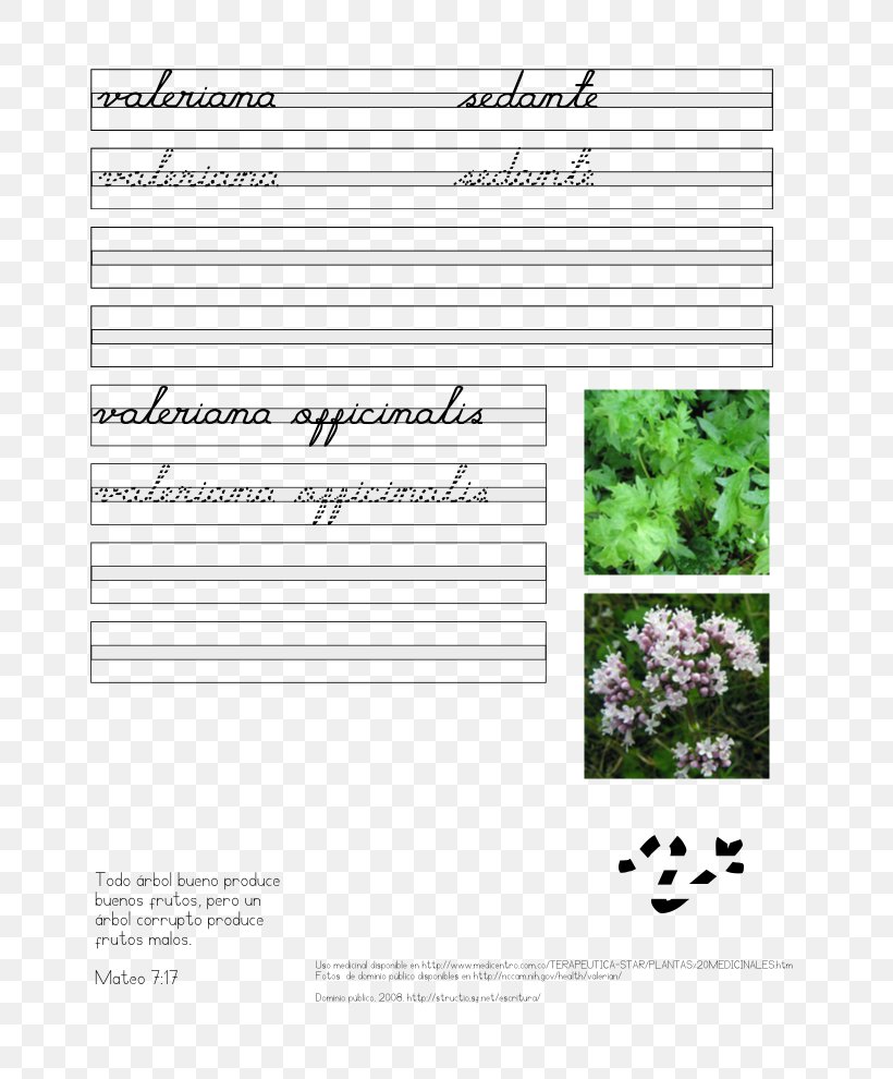 Document Line Valerian Brand, PNG, 765x990px, Document, Area, Brand, Diagram, Paper Download Free