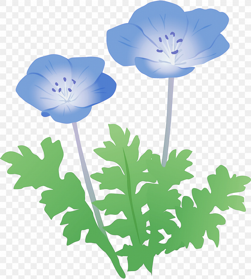 Flower Plant Petal Poppy Family Anemone, PNG, 2696x3000px, Flower, Anemone, Baby Blue Eyes, Geranium, Pedicel Download Free