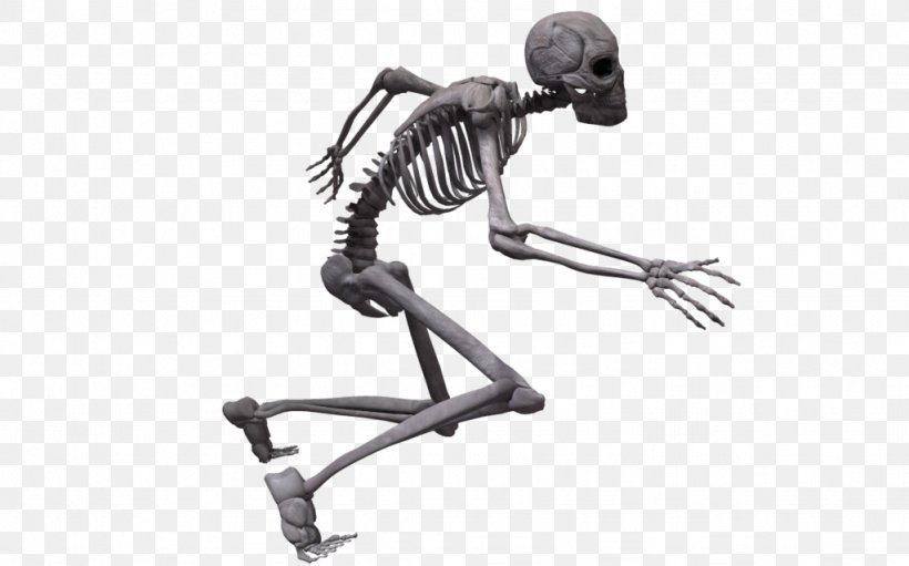 Human Skeleton Joint Humanoid Homo Sapiens, PNG, 1024x639px, 3d Rendering, Human Skeleton, Auto Part, Black And White, Deviantart Download Free