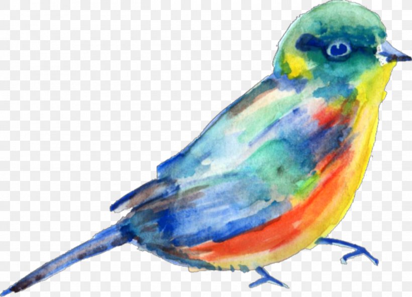 Clip Art Watercolor Painting Bird Finches Beak, PNG, 1420x1024px, Watercolor Painting, Art, Beak, Bird, Bluebird Download Free