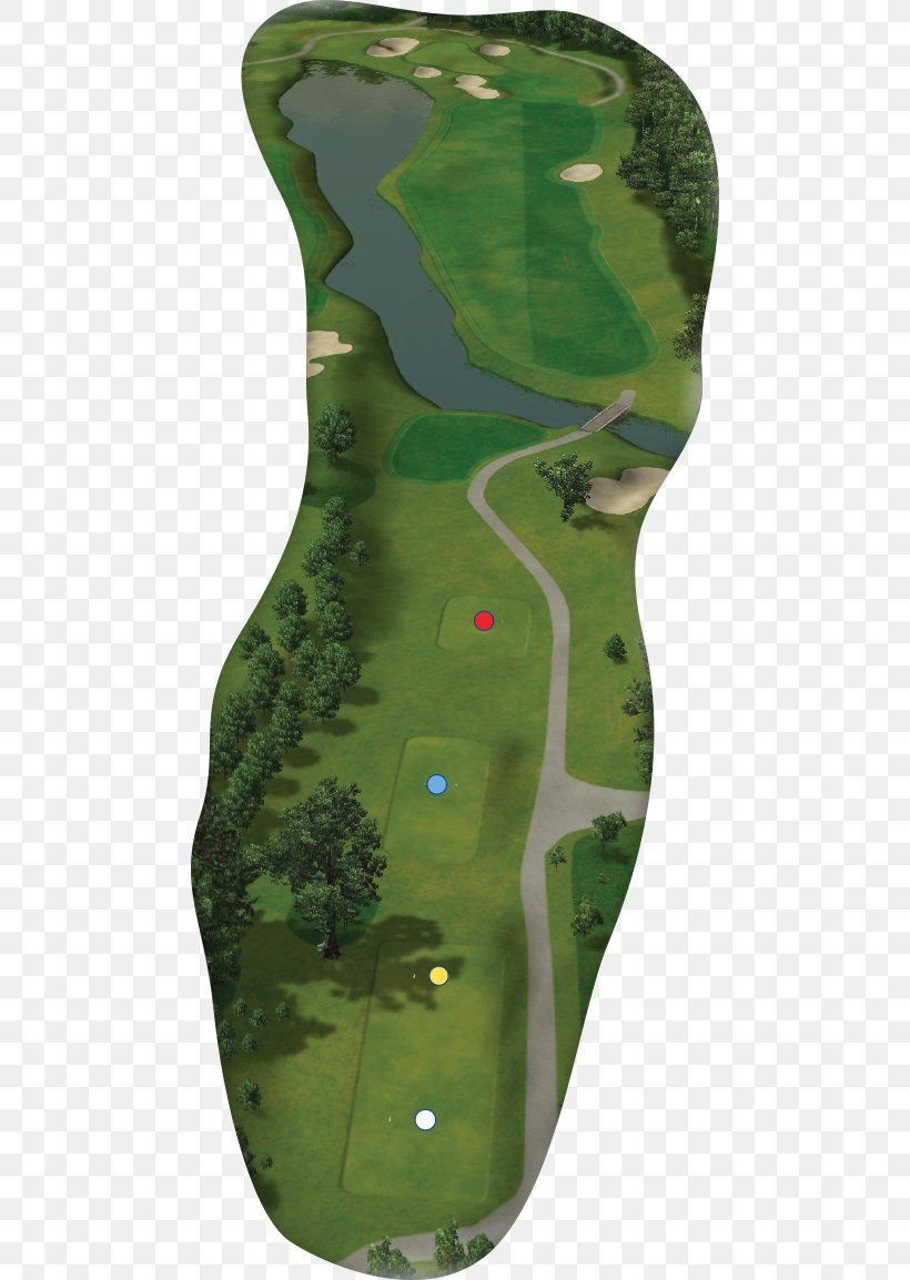 Golfsociëteit Lage Vuursche Buenos Aires Location Military Camouflage, PNG, 765x1154px, Buenos Aires, Camouflage, Golf Tees, Grass, Green Download Free
