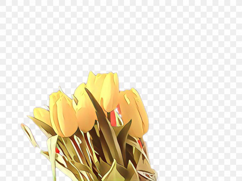 Lily Flower Cartoon, PNG, 2307x1732px, Cartoon, Computer, Crocus, Flower, Lily Family Download Free