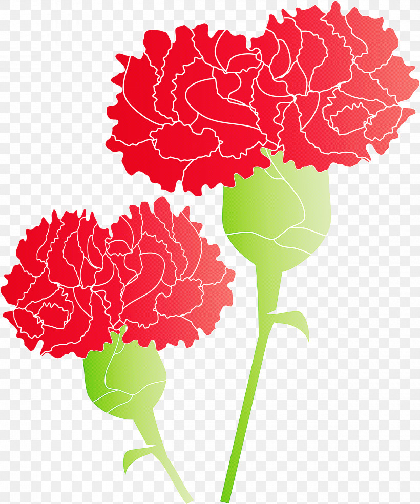 Mothers Day Carnation Mothers Day Flower, PNG, 2500x3000px, Mothers Day Carnation, Carnation, Cockscomb, Cut Flowers, Dianthus Download Free