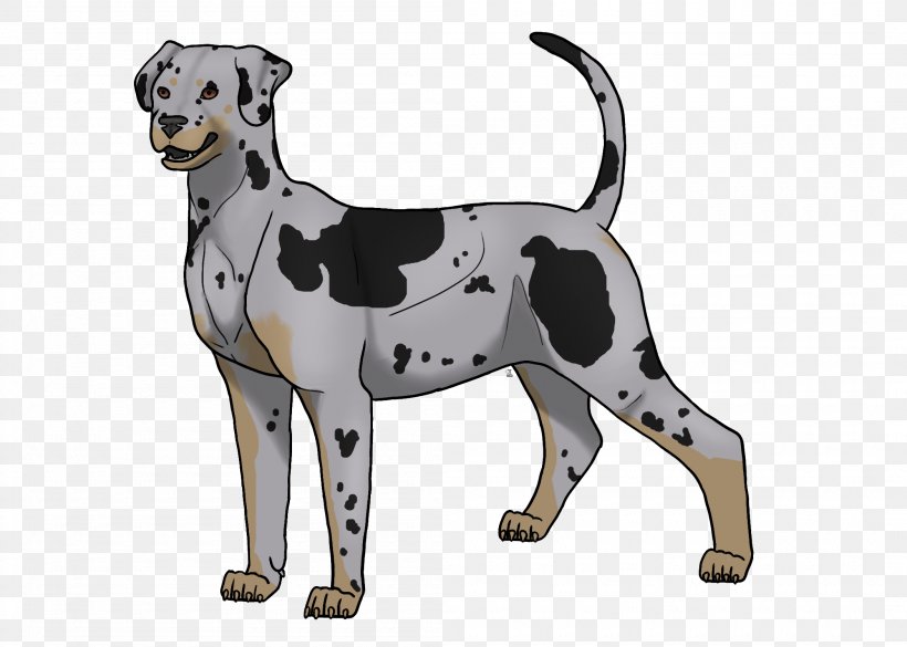 Dalmatian Dog Dog Breed Non-sporting Group Paw, PNG, 2100x1500px, Dalmatian Dog, Animated Cartoon, Breed, Carnivoran, Dalmatian Download Free
