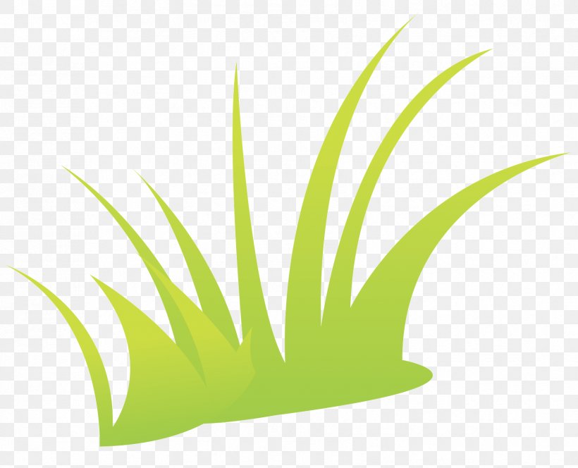 Green Grass, PNG, 1706x1383px, Green, Grass, Grass Family, Grass Gis, Herbaceous Plant Download Free