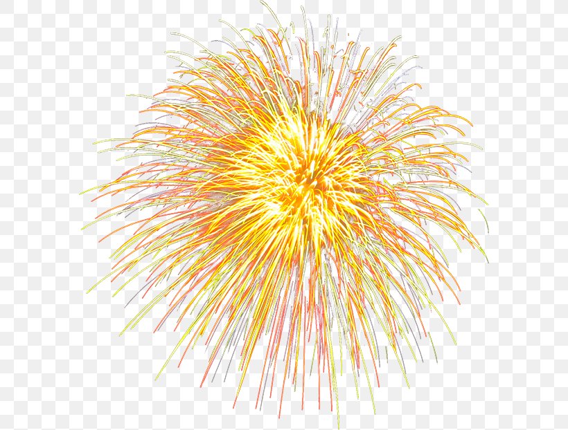 Le Nouvel An Chinois Fireworks Chinese New Year, PNG, 592x622px, Le Nouvel An Chinois, Chinese New Year, Fireworks, Gratis, Lunar New Year Download Free