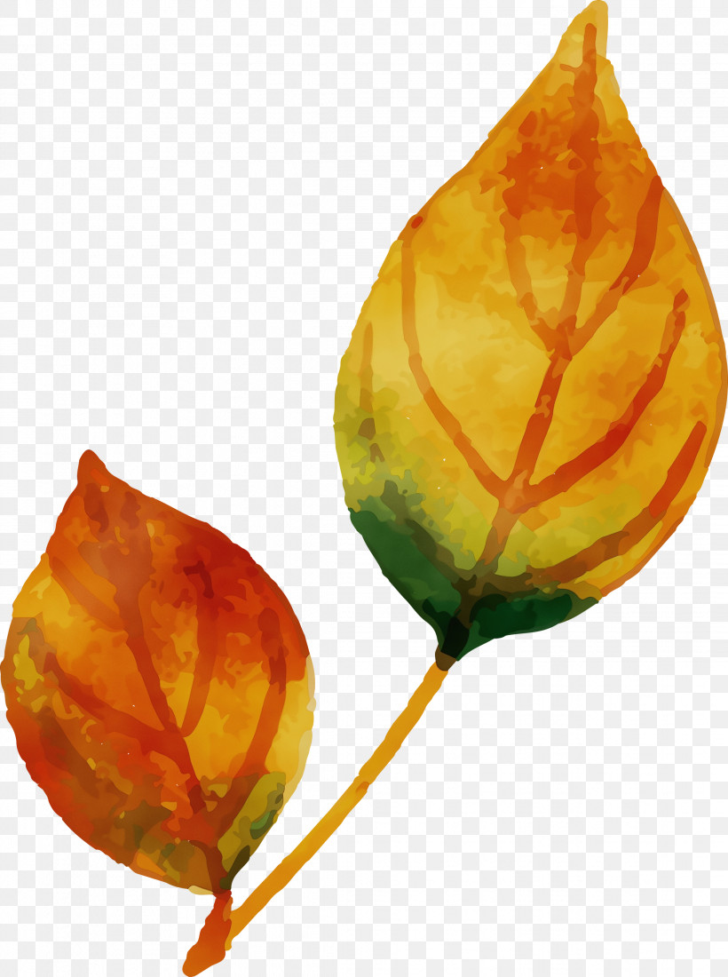 Leaf Science Plant Structure Biology Plants, PNG, 2236x3000px, Watercolor Autumn, Biology, Leaf, Paint, Plant Structure Download Free