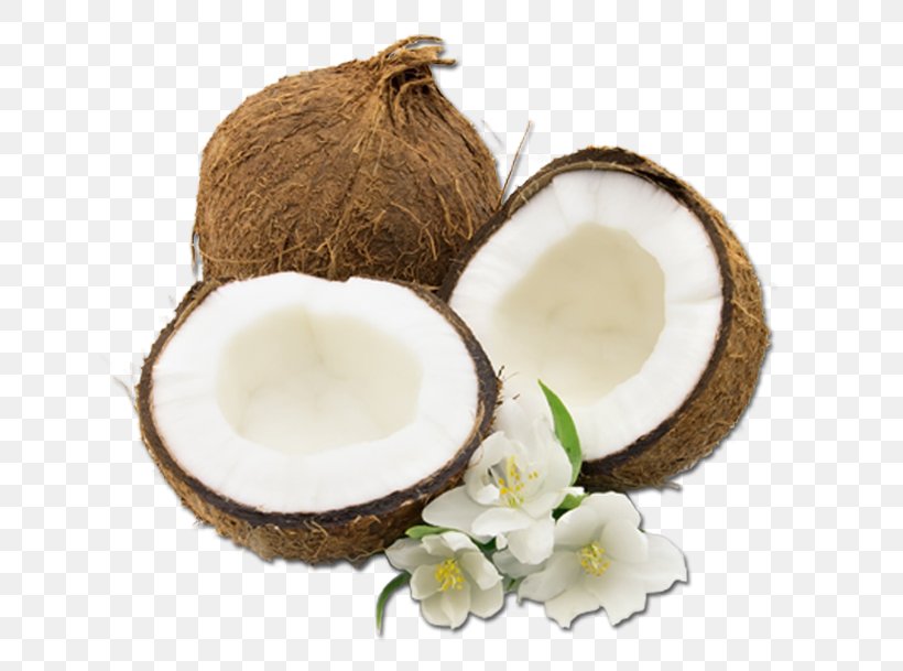 Palm Trees, PNG, 649x609px, Coconut Water, Coconut, Coconut Candy, Coconut Milk, Coconut Oil Download Free