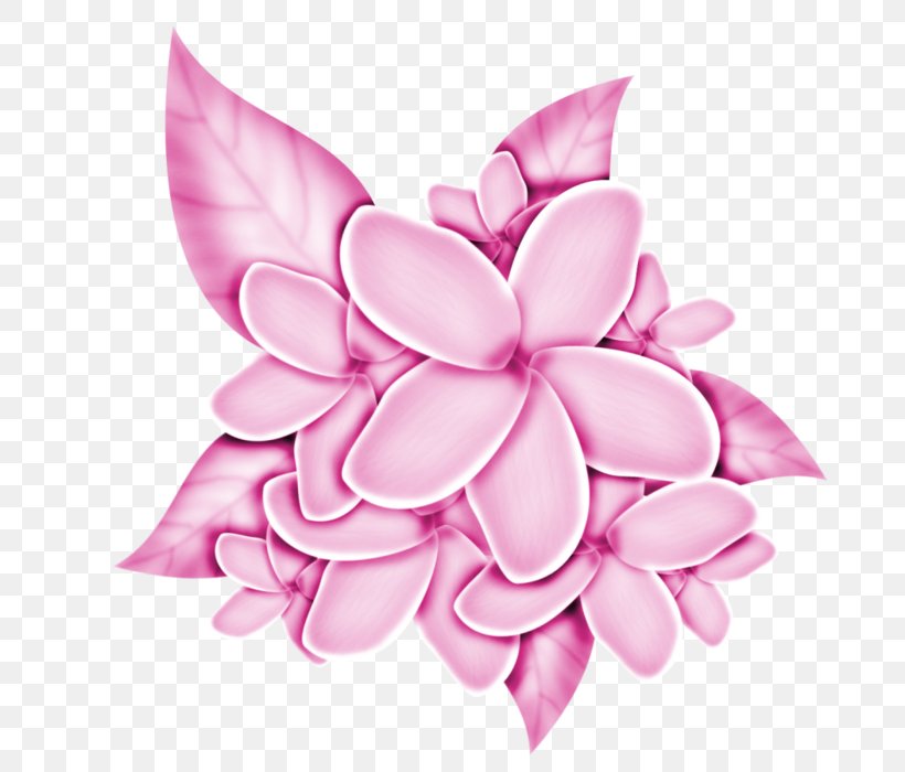 Pink Flower Cartoon, PNG, 700x700px, Petal, Aubergines, Cut Flowers, Flower, Food Download Free