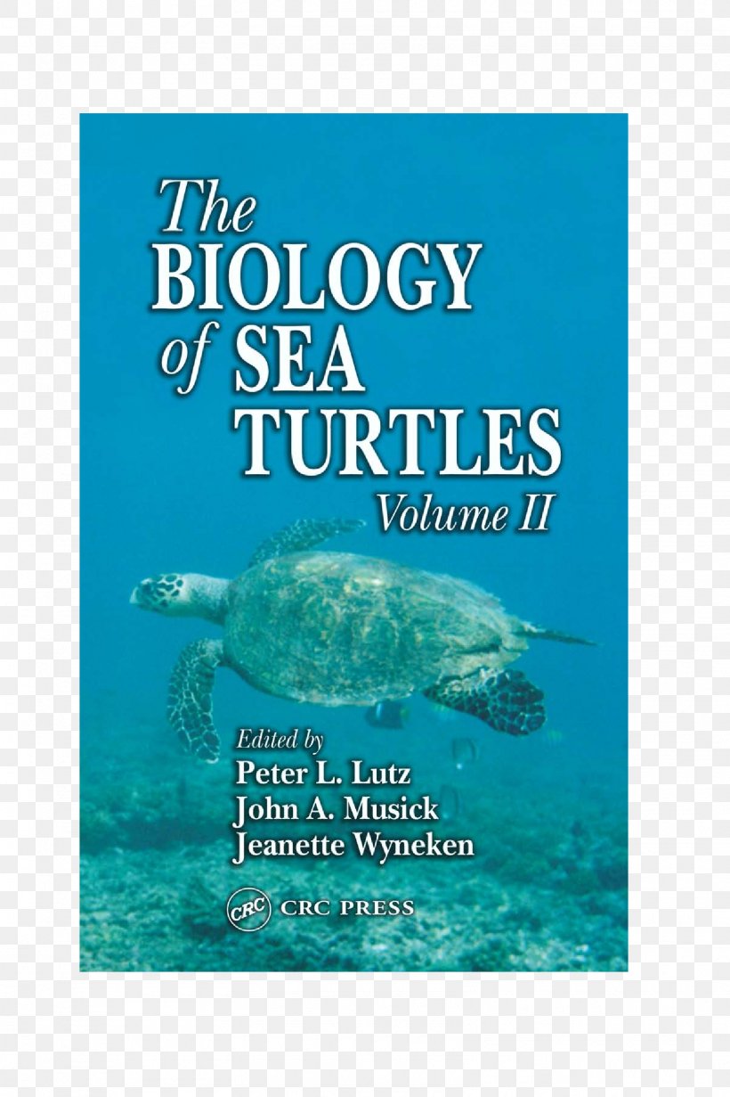 The Biology Of Sea Turtles Marine Biology, PNG, 1605x2411px, Sea Turtle, Anatomy, Aqua, Biology, Book Download Free