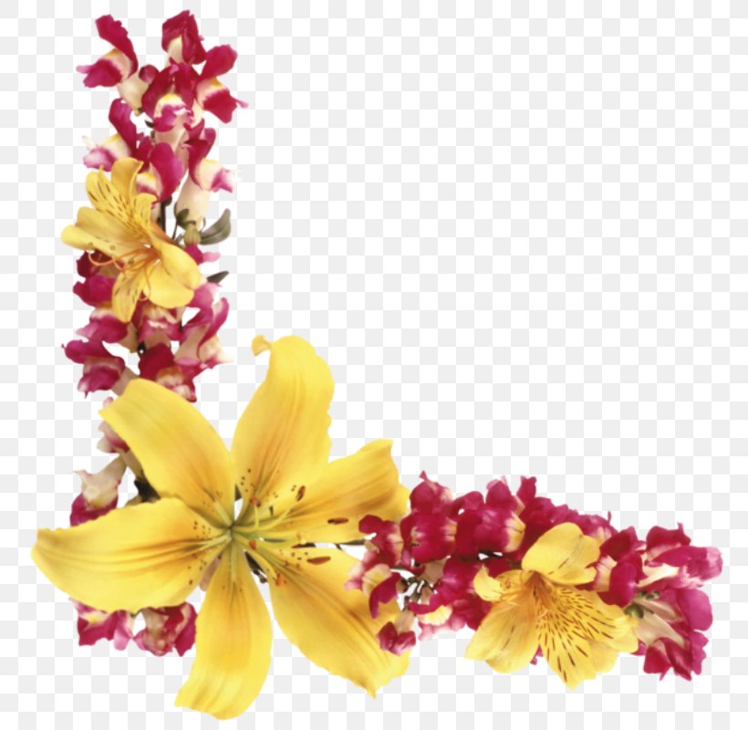 Flower Clip Art, PNG, 789x800px, Flower, Book, Computer Font, Cut Flowers, Floral Design Download Free