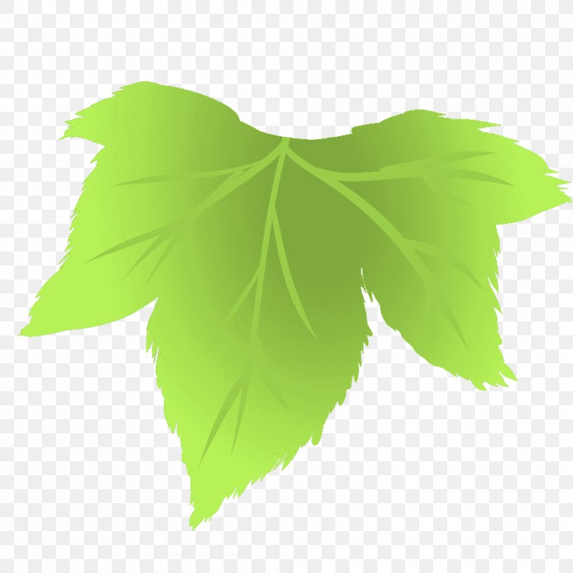 Leaf Line Tree, PNG, 1000x1000px, Leaf, Green, Plant, Tree Download Free