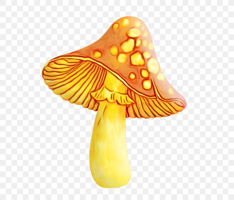 Mushroom Cartoon, PNG, 623x700px, Mushroom, Common Mushroom, Drawing, Edible Mushroom, Fly Agaric Download Free