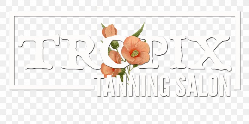 Sun Tanning Sunless Tanning Indoor Tanning Skin Exfoliation, PNG, 1500x750px, Sun Tanning, Area, Art, Artwork, Brand Download Free