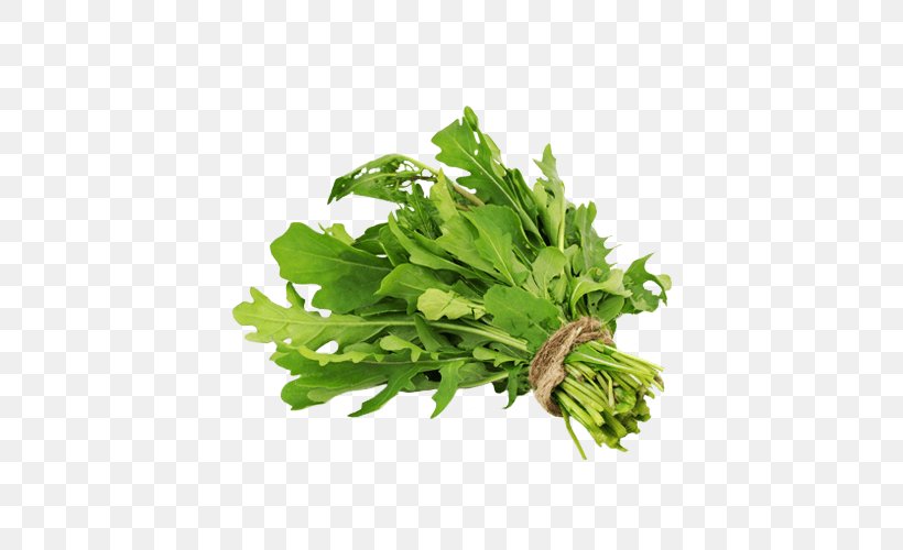 Watercress Fruit Soup Parsley Vegetable, PNG, 500x500px, Watercress, Chervil, Choy Sum, Coriander, Cuisine Download Free