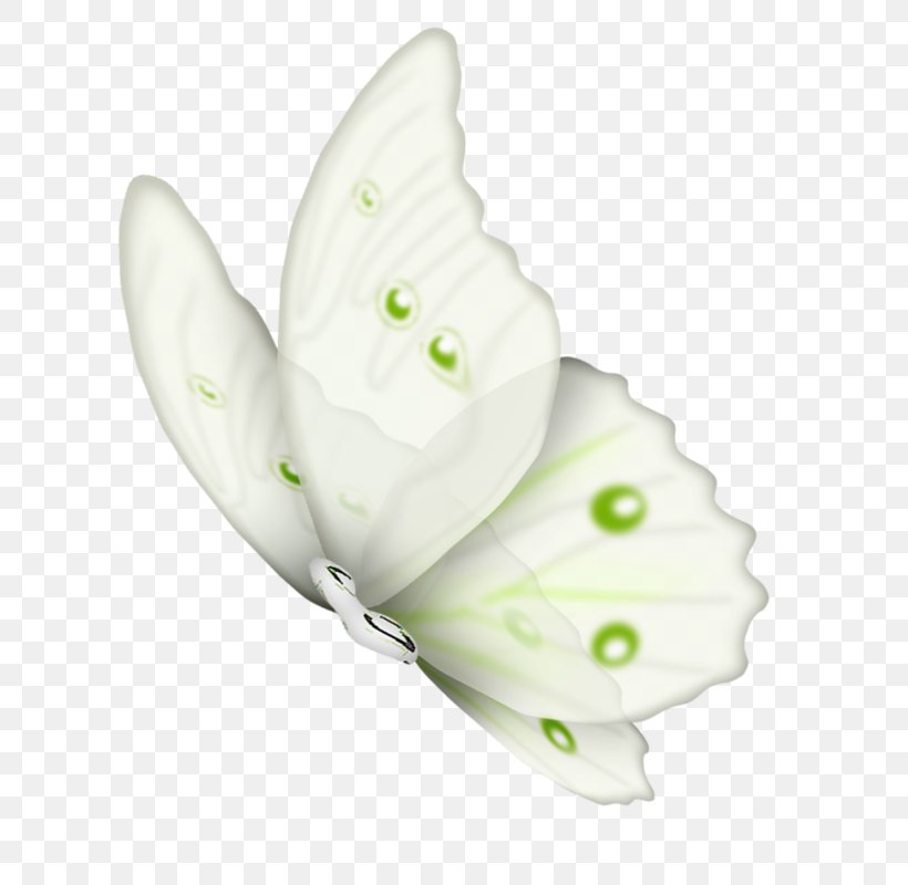 Butterfly Clip Art Insect Illustration, PNG, 656x800px, Butterfly, Art, Borboleta, Farfalle, Greenveined White Download Free